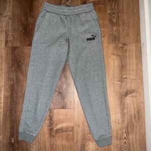 PUMA Joggers Boys Large|Grey